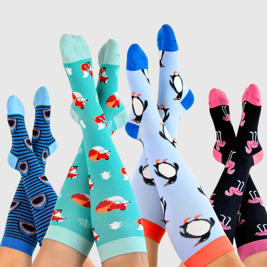 Pack Animais - 4 Pares